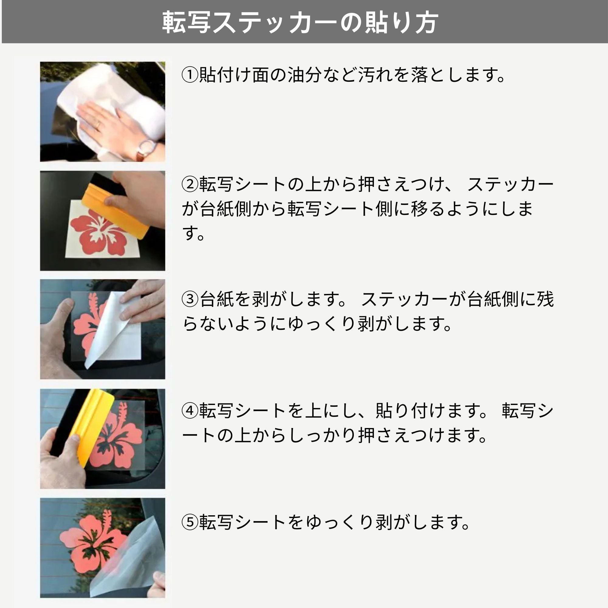 猫 ステッカー 覗き見する猫 (2点セット)(割引クーポン対象外)
